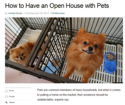 Open House with Pets